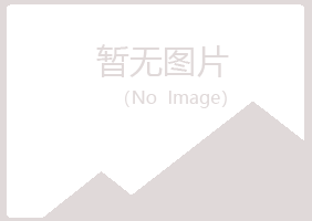 营山县夏日水泥有限公司